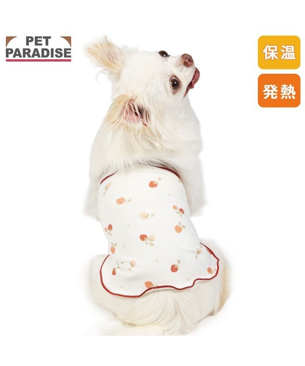 【ペットパラダイス/PET PARADISE / GOODS】のペットパラダイス ペティヒート 天竺 腹巻 《いちご柄》 小型犬 人気、トレンドファッション・服の通販 founy(ファニー) 　インナー　Innerwear　冬　Winter / This Winter　犬　Dog　A/W・秋冬　Autumn/Winter　軽量　Lightweight, Ultra Light　防寒　Cold Protection, Winter-Ready　ホーム・キャンプ・アウトドア・お取り寄せ　Home Living / Home & Lifestyle / Camping Gear / Outdoor Camping　ペットグッズ　Pet Supplies　 other-1|ID: prp329100004770220 ipo3291000000034555546
