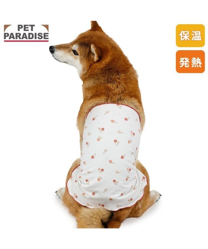 【ペットパラダイス/PET PARADISE / GOODS】のペットパラダイス ペティヒート 天竺 腹巻 《いちご柄》 中型犬 インテリア・キッズ・メンズ・レディースファッション・服の通販 founy(ファニー) https://founy.com/ インナー Innerwear 冬 Winter / This Winter 犬 Dog A/W・秋冬 Autumn/Winter 軽量 Lightweight, Ultra Light 防寒 Cold Protection, Winter-Ready ホーム・キャンプ・アウトドア・お取り寄せ Home Living / Home & Lifestyle / Camping Gear / Outdoor Camping ペットグッズ Pet Supplies |ID: prp329100004770221 ipo3291000000034555548