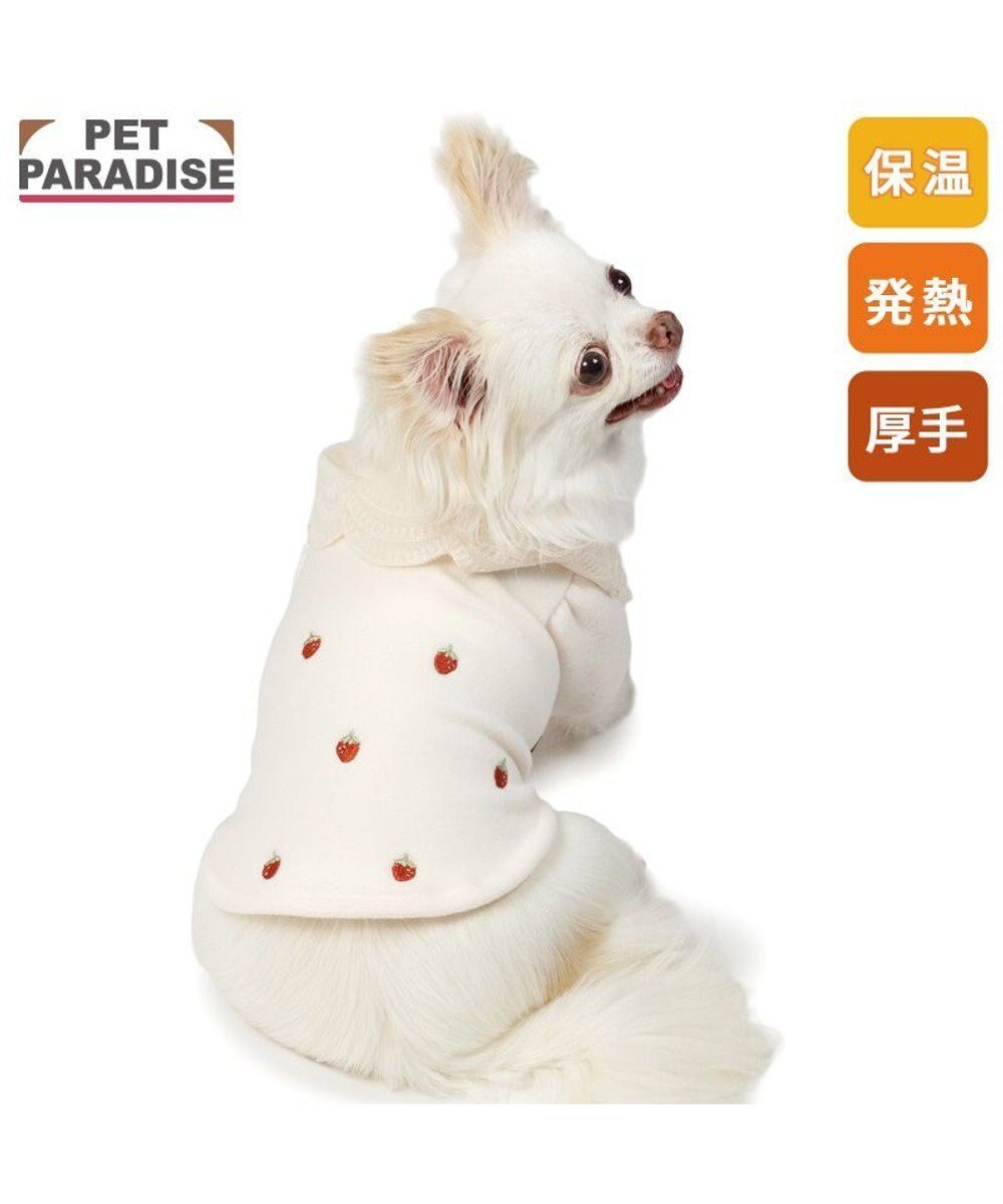 【ペットパラダイス/PET PARADISE / GOODS】のペットパラダイス ペティヒートDAN Tシャツ 《いちご柄》 小型犬 人気、トレンドファッション・服の通販 founy(ファニー) インナー Innerwear 冬 Winter / This Winter 犬 Dog A/W・秋冬 Autumn/Winter 軽量 Lightweight, Ultra Light 防寒 Cold Protection, Winter-Ready ホーム・キャンプ・アウトドア・お取り寄せ Home Living / Home & Lifestyle / Camping Gear / Outdoor Camping ペットグッズ Pet Supplies other-1|ID: prp329100004770224 ipo3291000000034555554