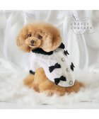 【ペットパラダイス/PET PARADISE / GOODS】のcherircouture リボンニット 小型犬 ホワイト×ブラック|ID: prp329100004770291 ipo3291000000034555763