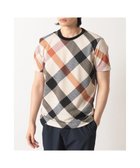 【ダックス/DAKS / MEN】のメガチェック カノコTシャツ ベージュ|ID: prp329100004770345 ipo3291000000034555997