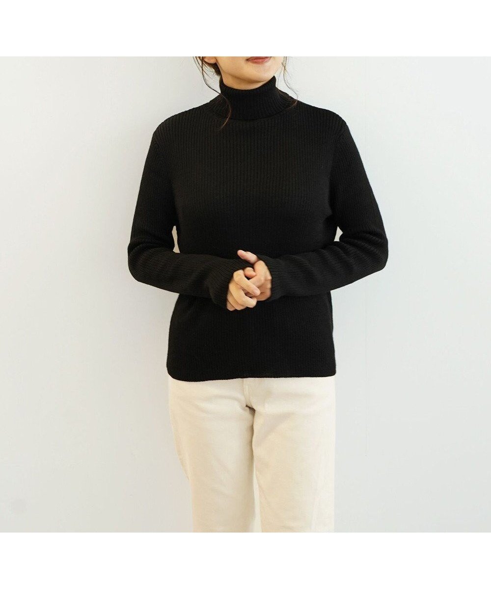 【トック/TOQUE】の〈大草直子さんアドバイザー〉ベビーアルパカ×シルク ハイネックニット インテリア・キッズ・メンズ・レディースファッション・服の通販 founy(ファニー) 　ファッション　Fashion　レディースファッション　Fashion for Women　トップス・カットソー　Cut & Sew Tops　ニット　Knit Tops & Sweaters　春　Spring　秋　Autumn　シルク　Silk, 100% Silk　セーター　Sweater, Knitwear　ハイネック　High Neck, Mock Neck　ベビー　Baby, Babywear　ベーシック　Basic, Essential　A/W・秋冬　Autumn/Winter　ブラック|ID: prp329100004770466 ipo3291000000034556829