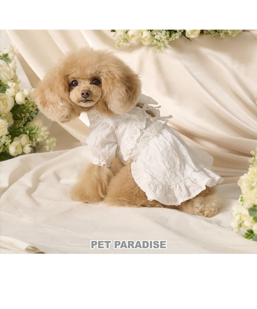 【ペットパラダイス/PET PARADISE / GOODS】のcherircouture フリルリボン ワンピース 《ホワイト》 小型犬 人気、トレンドファッション・服の通販 founy(ファニー) イレギュラー Irregular Design フリル Frill, Ruffle ボレロ Bolero, Short Cardigan リボン Ribbon, Bow エレガント 上品 Elegant 夏 Summer 春 Spring S/S・春夏 SS, Spring/Summer, Warm Season 犬 Dog ホーム・キャンプ・アウトドア・お取り寄せ Home Living / Home & Lifestyle / Camping Gear / Outdoor Camping ペットグッズ Pet Supplies other-1|ID: prp329100004772927 ipo3291000000034584464