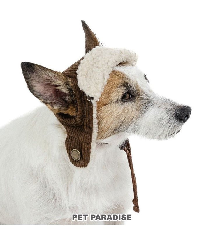【ペットパラダイス/PET PARADISE / GOODS】のペットパラダイス フライトハット 小型犬 インテリア・キッズ・メンズ・レディースファッション・服の通販 founy(ファニー) https://founy.com/ 犬 Dog 秋 Autumn A/W・秋冬 Autumn/Winter ホーム・キャンプ・アウトドア・お取り寄せ Home Living / Home & Lifestyle / Camping Gear / Outdoor Camping ペットグッズ Pet Supplies |ID: prp329100004772932 ipo3291000000034584480
