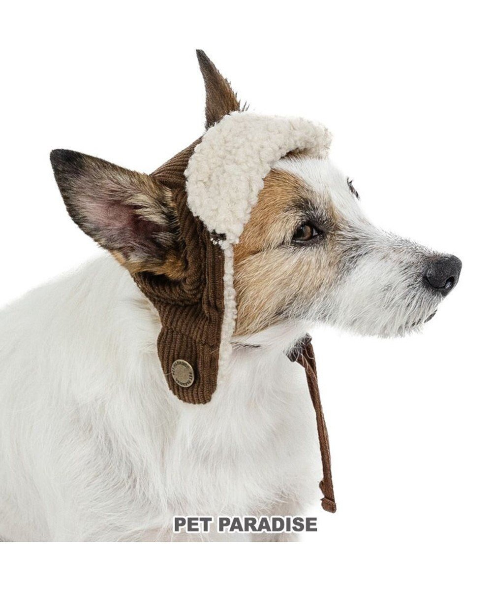 【ペットパラダイス/PET PARADISE / GOODS】のペットパラダイス フライトハット 小型犬 人気、トレンドファッション・服の通販 founy(ファニー) 　犬　Dog　秋　Autumn　A/W・秋冬　Autumn/Winter　ホーム・キャンプ・アウトドア・お取り寄せ　Home Living / Home & Lifestyle / Camping Gear / Outdoor Camping　ペットグッズ　Pet Supplies　 other-1|ID: prp329100004772932 ipo3291000000034584480