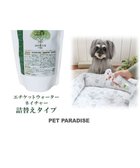 【ペットパラダイス/PET PARADISE / GOODS】のペット 消臭スプレー エチケットウォーターn(ネイチャー) 詰替用 250mL 詰替用|ID: prp329100004775463 ipo3291000000034615811