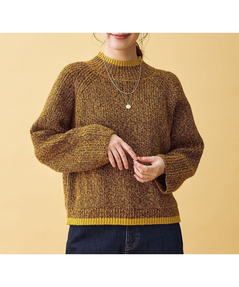 【エニー/ANY】の【5色展開】バイカラーMIXニット インテリア・キッズ・メンズ・レディースファッション・服の通販 founy(ファニー) ファッション Fashion レディースファッション Fashion for Women トップス・カットソー Cut & Sew Tops ニット Knit Tops & Sweaters おすすめ Recommended / Our Picks シンプル Simple, Minimal ストレート Straight, Straight Cut セーター Sweater, Knitwear デニム Denim, Jeans Material エレガント 上品 Elegant 冬 Winter / This Winter 洗える Machine Washable A/W・秋冬 Autumn/Winter マスタードMIX|ID: prp329100004775553 ipo3291000000034616453
