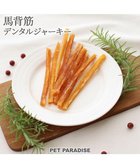 【ペットパラダイス/PET PARADISE / GOODS】の馬背筋デンタルジャーキー 40g -|ID: prp329100004776623 ipo3291000000034628411