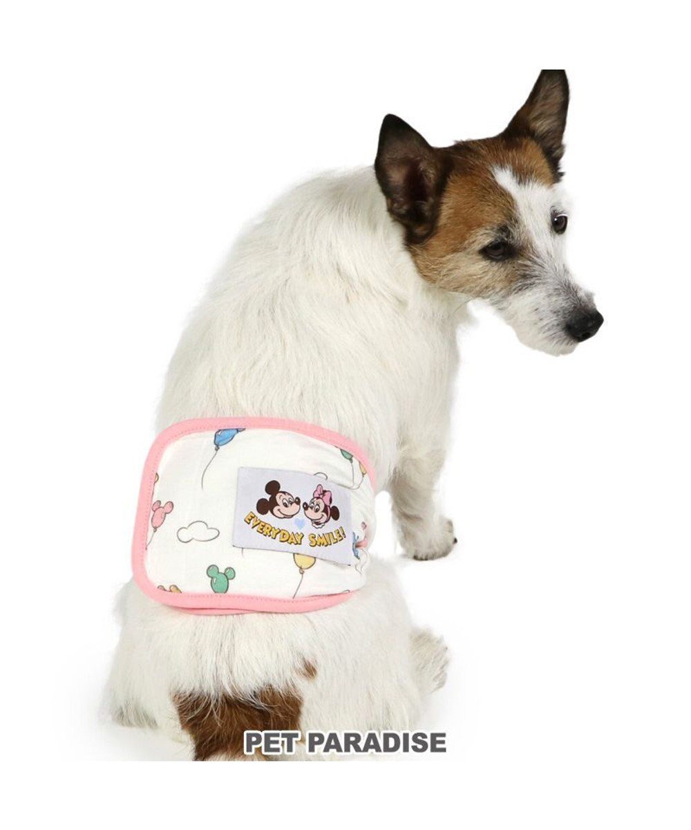 【ペットパラダイス/PET PARADISE / GOODS】のディズニー ミッキーマウス マナーベルト 《風船柄》 小型犬 人気、トレンドファッション・服の通販 founy(ファニー) 　夏　Summer　抗菌　Antibacterial, Bacteria-Resistant　S/S・春夏　SS, Spring/Summer, Warm Season　犬　Dog　A/W・秋冬　Autumn/Winter　ホーム・キャンプ・アウトドア・お取り寄せ　Home Living / Home & Lifestyle / Camping Gear / Outdoor Camping　ペットグッズ　Pet Supplies　 other-1|ID: prp329100004778175 ipo3291000000034649153