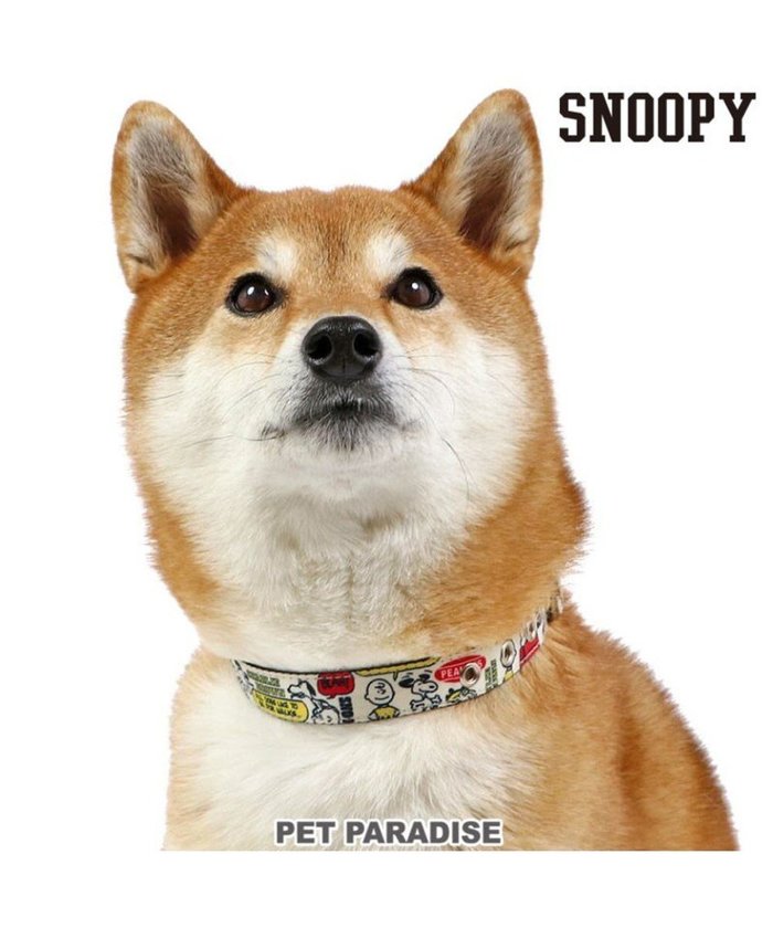 【ペットパラダイス/PET PARADISE / GOODS】のスヌーピー 首輪 《ペア柄》 SM インテリア・キッズ・メンズ・レディースファッション・服の通販 founy(ファニー) https://founy.com/ キャラクター Character, Licensed Characters 犬 Dog 軽量 Lightweight, Ultra Light ホーム・キャンプ・アウトドア・お取り寄せ Home Living / Home & Lifestyle / Camping Gear / Outdoor Camping ペットグッズ Pet Supplies |ID: prp329100004778795 ipo3291000000034656652