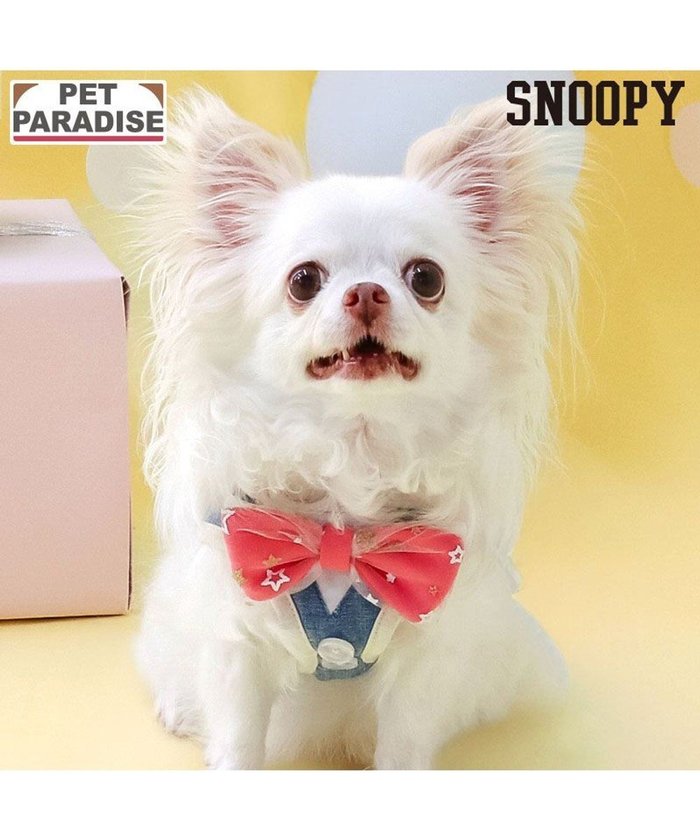 【ペットパラダイス/PET PARADISE / GOODS】のスヌーピー バースデー ベストハーネス S インテリア・キッズ・メンズ・レディースファッション・服の通販 founy(ファニー) https://founy.com/ ベスト Vest, Waistcoat 犬 Dog ホーム・キャンプ・アウトドア・お取り寄せ Home Living / Home & Lifestyle / Camping Gear / Outdoor Camping ペットグッズ Pet Supplies |ID: prp329100004783590 ipo3291000000034716523