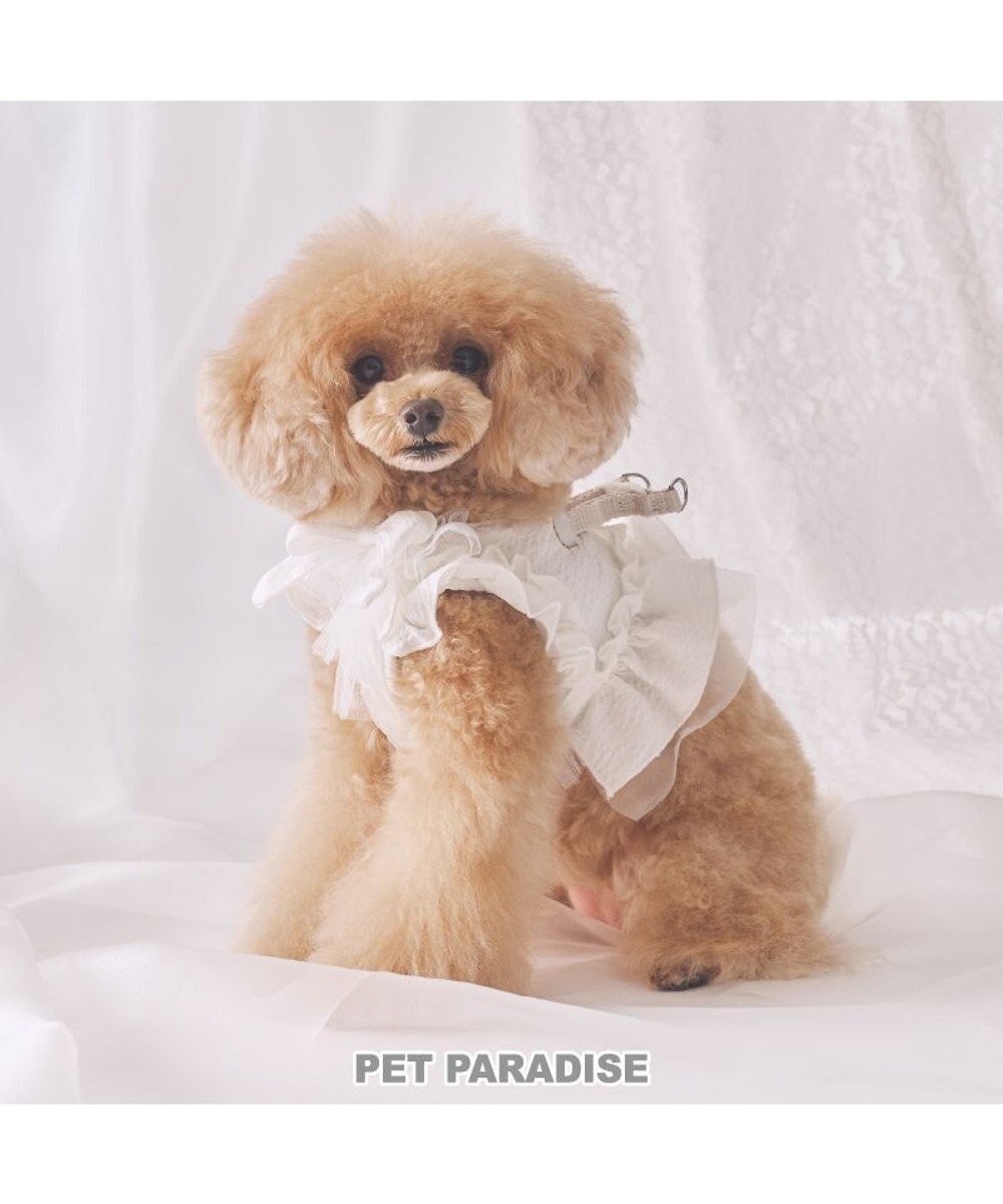 【ペットパラダイス/PET PARADISE / GOODS】のcherircouture フリフリハーネス 《ホワイト》 小型犬 SS 人気、トレンドファッション・服の通販 founy(ファニー) フリル Frill, Ruffle 犬 Dog ホーム・キャンプ・アウトドア・お取り寄せ Home Living / Home & Lifestyle / Camping Gear / Outdoor Camping ペットグッズ Pet Supplies other-1|ID: prp329100004789563 ipo3291000000034756952