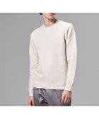 【ジョゼフ オム/JOSEPH HOMME / MEN】の新柄【イージーケア】 ヴィスコースリンクス クルーネックニット アイボリー系|ID: prp329100004798636 ipo3291000000034817091