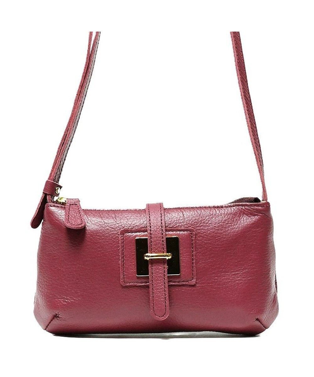 【レガロフェリーチェ/Regalo Felice】の【日本製 / サブバッグにもオススメ】ミニショルダー / REGALO インテリア・キッズ・メンズ・レディースファッション・服の通販 founy(ファニー) 　ファッション　Fashion　レディースファッション　Fashion for Women　カラフル　Colorful Design　キーホルダー　Keychain, Key Holder　ショルダー　Shoulder, Shoulder Strap　スマート　Smart, Elegant　センター　Center, Center Line　財布　Wallet, Purse　チェーン　Chain, Chain Strap　チャーム　Charm, Pendant　フォルム　Silhouette, Form　ボトム　Bottoms, Lower Wear　ポケット　Pocket, Pocket Detail　おすすめ　Recommended / Our Picks　日本製　Made In Japan　BO|ID: prp329100004798687 ipo3291000000034817286