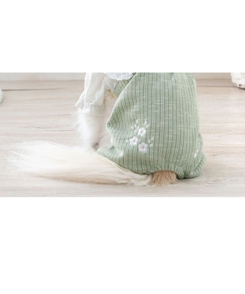 【ペットパラダイス/PET PARADISE / GOODS】のペットパラダイス ナチュラル パンツつなぎ 《小花 》 小型犬 インテリア・キッズ・メンズ・レディースファッション・服の通販 founy(ファニー) ロンパース Romper, Jumpsuit 夏 Summer 春 Spring S/S・春夏 SS, Spring/Summer, Warm Season 犬 Dog ホーム・キャンプ・アウトドア・お取り寄せ Home Living / Home & Lifestyle / Camping Gear / Outdoor Camping ペットグッズ Pet Supplies グリーン|ID: prp329100004806181 ipo3291000000034875817