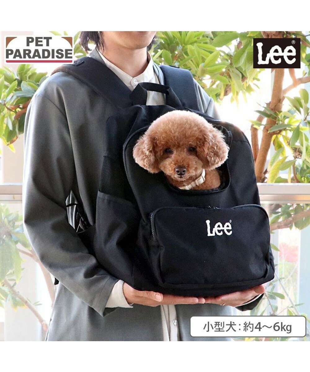 【ペットパラダイス/PET PARADISE / GOODS】のLee デイリーリュック 《ブラック》 M 人気、トレンドファッション・服の通販 founy(ファニー) 　コンパクト　Compact, Small Size　フィット　Fit, Slim Fit　ポケット　Pocket, Pocket Detail　メッシュ　Mesh, Net Fabric　リュック　Backpack, Rucksack　スーツケース キャリーケース　Suitcase / Carry Case　ホーム・キャンプ・アウトドア・お取り寄せ　Home Living / Home & Lifestyle / Camping Gear / Outdoor Camping　ペットグッズ　Pet Supplies　 other-1|ID: prp329100004808766 ipo3291000000034898089