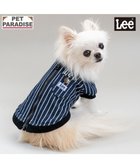 【ペットパラダイス/PET PARADISE / GOODS】のLee ブルゾン ストライプ 小型犬 人気、トレンドファッション・服の通販 founy(ファニー) インディゴ Indigo Denim ジャケット Jacket, Outerwear ストライプ Stripe, Striped Pattern ブルゾン Blouson, Bomber Jacket 夏 Summer 春 Spring S/S・春夏 SS, Spring/Summer, Warm Season 犬 Dog ホーム・キャンプ・アウトドア・お取り寄せ Home Living / Home & Lifestyle / Camping Gear / Outdoor Camping ペットグッズ Pet Supplies thumbnail ネイビー×ホワイト|ID: prp329100004808767 ipo3291000000034898092