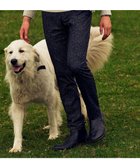 【ジョセフ アブード/JOSEPH ABBOUD / MEN】の【ストレッチ】フランネルジャージー パンツ グレー系7|ID: prp329100004828122 ipo3291000000035136705