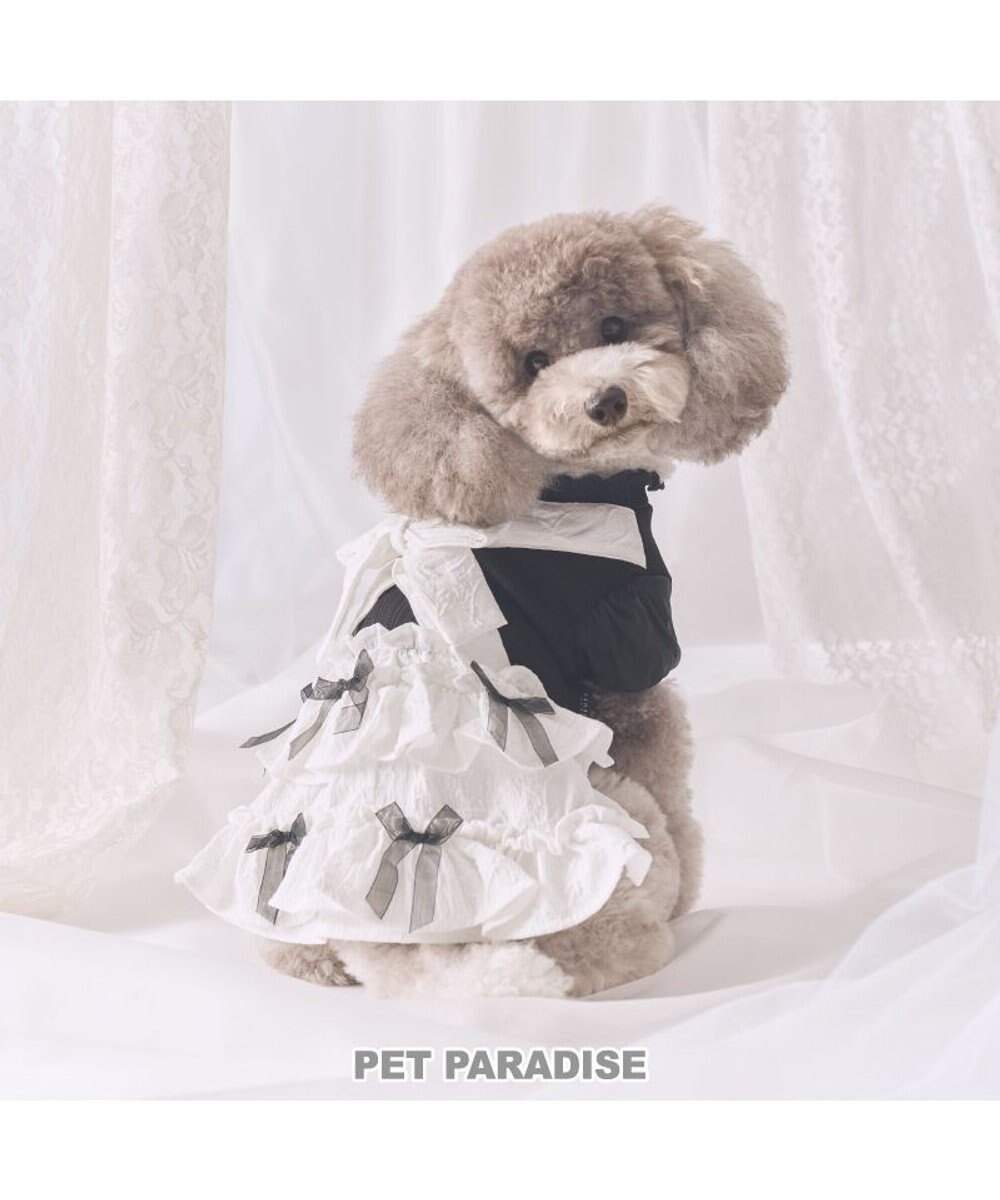 【ペットパラダイス/PET PARADISE / GOODS】のcherircouture メニーリボンワンピース 小型犬 人気、トレンドファッション・服の通販 founy(ファニー) 　イレギュラー　Irregular Design　犬　Dog　A/W・秋冬　Autumn/Winter　ホーム・キャンプ・アウトドア・お取り寄せ　Home Living / Home & Lifestyle / Camping Gear / Outdoor Camping　ペットグッズ　Pet Supplies　 other-1|ID: prp329100004832015 ipo3291000000035183929