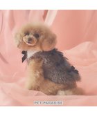 【ペットパラダイス/PET PARADISE / GOODS】のcherircouture メニーリボンファーベスト 《グレー》 小型犬 人気、トレンドファッション・服の通販 founy(ファニー) イレギュラー Irregular Design ベスト Vest, Waistcoat リボン Ribbon, Bow 犬 Dog A/W・秋冬 Autumn/Winter ホーム・キャンプ・アウトドア・お取り寄せ Home Living / Home & Lifestyle / Camping Gear / Outdoor Camping ペットグッズ Pet Supplies thumbnail グレー|ID: prp329100004837016 ipo3291000000035239096
