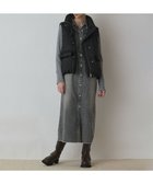 【グレース コンチネンタル/GRACE CONTINENTAL】のスタンドカラーダウンベスト 人気、トレンドファッション・服の通販 founy(ファニー) ファッション Fashion レディースファッション Fashion for Women アウター Coat / Outerwear Collection レディースジャケット・軽アウター Jackets ジャケット Jacket, Outerwear スタンド Stand Collar, Upright Stand タフタ Taffeta, Structured Fabric ダウン Down, Puffer フェザー Feather, Feather Detail フォルム Silhouette, Form ベスト Vest, Waistcoat 定番 Standard, Basic Item A/W・秋冬 Autumn/Winter thumbnail ブラック|ID: prp329100004841601 ipo3291000000035284700