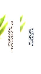 【ジョセフ アブード マウンテン/JOSEPH ABBOUD MOUNTAIN】の【サスティナブル/ECO撥水/ECOファー/9ポケット】ナイロンピーチダウンコート アイボリー系|ID: prp329100004847753 ipo3291000000035722858