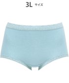 【ワコール/WACOAL】の【ディアヒップ】 ショーツ はきこみ丈ふかめ 綿混(身生地) ヒップを包みこむフィット感 やさしいはきごこち PPA112 /ワコール ターコイズブルー|ID: prp329100004847826 ipo3291000000035545656