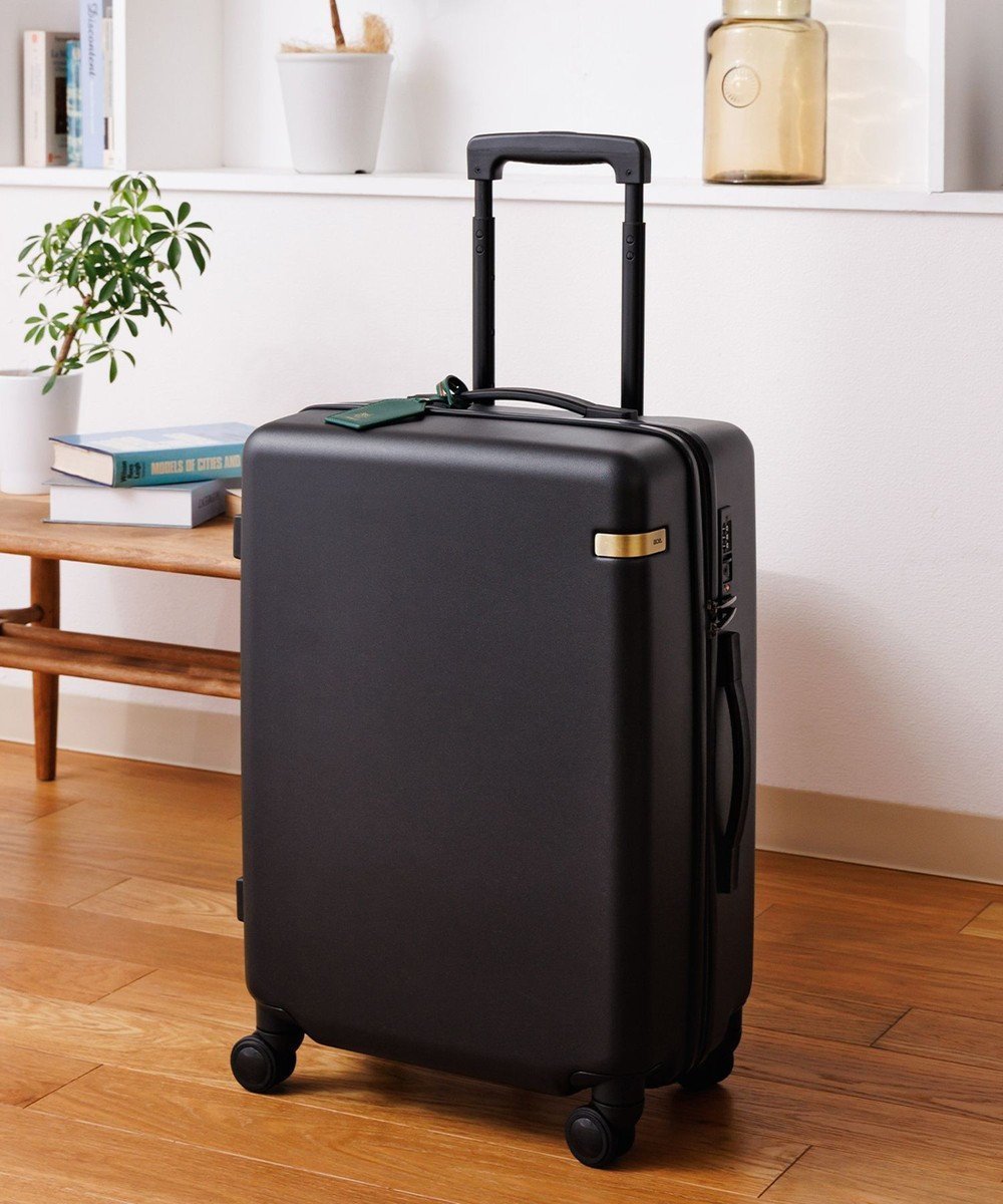 【エースバッグズアンドラゲッジ/ACE BAGS & LUGGAGE】のHAyU × ace. パキラ スーツケース 34L 機内持込 05781 エース 人気、トレンドファッション・服の通販 founy(ファニー) 　ファッション　Fashion　レディースファッション　Fashion for Women　スーツ　Business Suits & Workwear　コラボ　Collaboration, Collab　傘　Umbrella, Parasol　シンプル　Simple, Minimal　チャーム　Charm, Pendant　トラベル　Travel, Travel Gear　ネコ　Cat, Feline Motif　猫　Cat, Kitty　フロント　Front, Front Design　ポケット　Pocket, Pocket Detail　メタル　Metal, Metal Parts　メッシュ　Mesh, Net Fabric　無地　Plain, Solid Color　リュック　Backpack, Rucksack　ワイヤー　Wire, Wired Bra　再入荷　Restock / Back in Stock　旅行　Travel　スーツケース キャリーケース　Suitcase / Carry Case　ギフト プレゼント　Gift / Present　 other-1|ID: prp329100004849049 ipo3291000000035839357