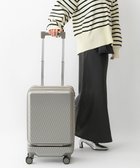 【エースバッグズアンドラゲッジ/ACE BAGS & LUGGAGE】の【雑誌掲載】 W .Day/Night ピーロ スーツケース 機内持ち込みサイズ 32L 05421 ダブルアンドデイナイト シャンパンゴールド|ID: prp329100004849242 ipo3291000000035525131