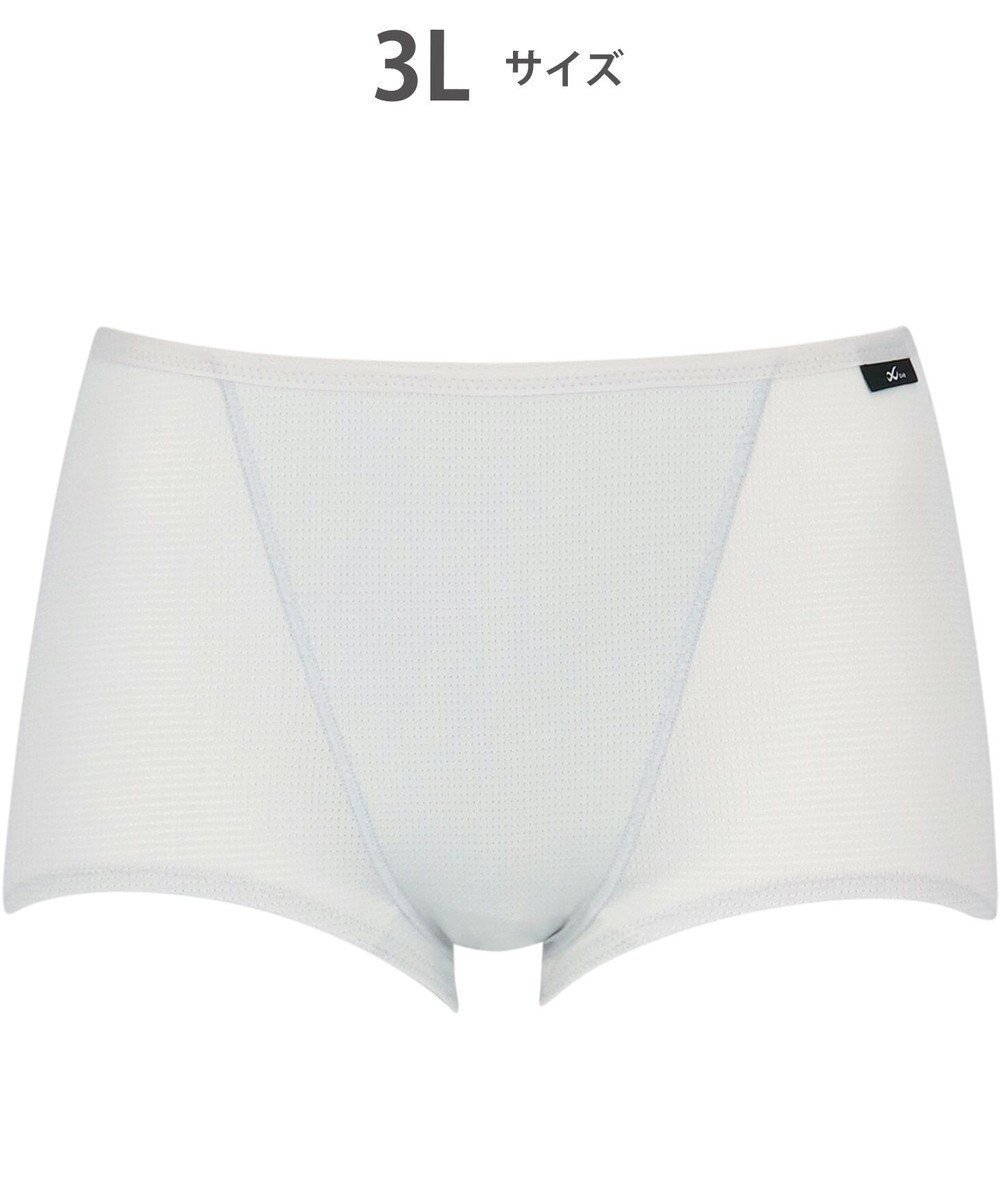 【シーダブリューエックス/CW-X】の【WOMEN】 CW-X スポーツショーツ 吸汗速乾性(本体) 抗菌防臭性(本体) メッシュ素材 はきこみ丈ふつう レディース HSY320 /ワコール インテリア・キッズ・メンズ・レディースファッション・服の通販 founy(ファニー) 　ファッション　Fashion　レディースファッション　Fashion for Women　スポーツウェア　Functional & Stylish Sportswear　アンダー　Underwear Essentials　ショーツ　Shorts, Short Pants　スポーツ　Sports, Activewear　メッシュ　Mesh, Net Fabric　抗菌　Antibacterial, Bacteria-Resistant　シルバーグレー|ID: prp329100004851121 ipo3291000000035570981