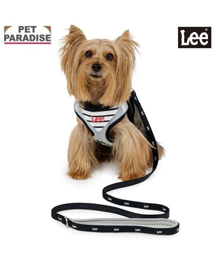 【ペットパラダイス/PET PARADISE / GOODS】のLee バンダナ ハーネス&リード S インテリア・キッズ・メンズ・レディースファッション・服の通販 founy(ファニー) https://founy.com/ バンダナ Bandana, Head Scarf 犬 Dog ホーム・キャンプ・アウトドア・お取り寄せ Home Living / Home & Lifestyle / Camping Gear / Outdoor Camping ペットグッズ Pet Supplies |ID: prp329100004851987 ipo3291000000035614685