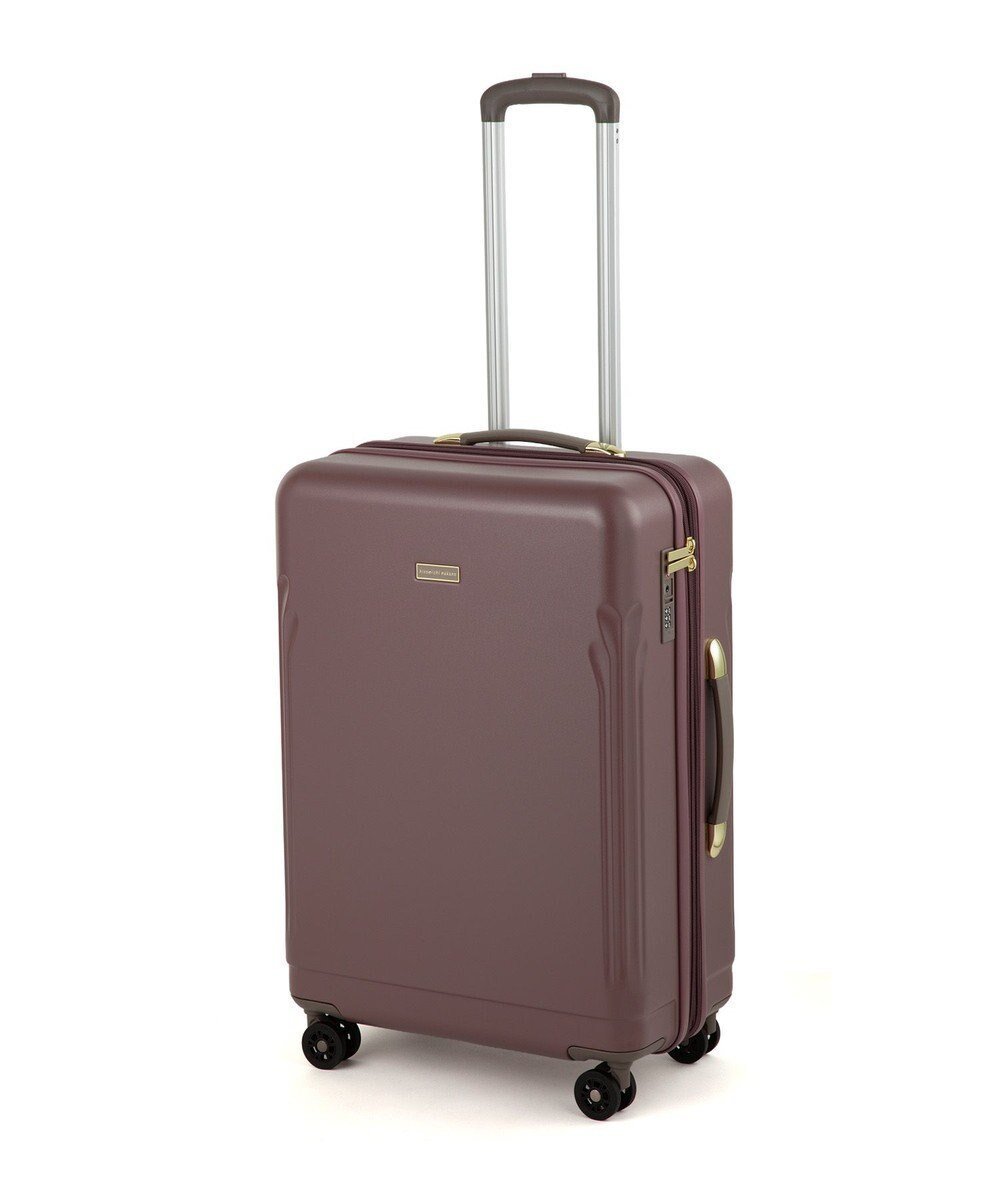 【エースバッグズアンドラゲッジ/ACE BAGS & LUGGAGE】のhiromichi nakano リーヴァ2 スーツケース Mサイズ 61L 05014 ヒロミチナカノ インテリア・キッズ・メンズ・レディースファッション・服の通販 founy(ファニー) 　ファッション　Fashion　レディースファッション　Fashion for Women　スーツ　Business Suits & Workwear　シンプル　Simple, Minimal　トラベル　Travel, Travel Gear　フラワー　Flower, Floral　ポケット　Pocket, Pocket Detail　メッシュ　Mesh, Net Fabric　リュック　Backpack, Rucksack　再入荷　Restock / Back in Stock　旅行　Travel　スーツケース キャリーケース　Suitcase / Carry Case　エレガント 上品　Elegant　ローズグレー|ID: prp329100004852040 ipo3291000000035616175