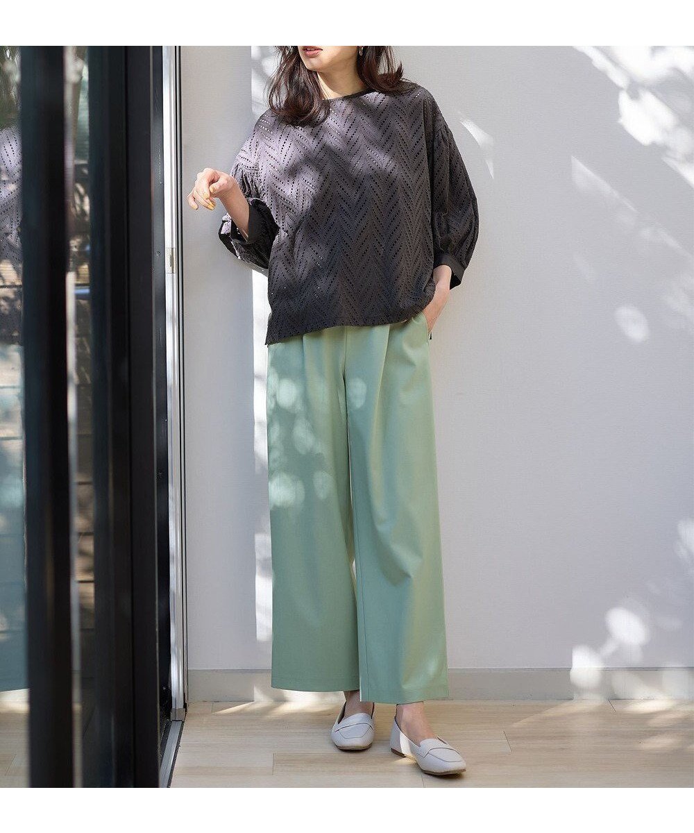 【エニー/ANY】の【ウエストゴム/ストレッチ/セットアップ可】イージィケアストレッチワイドパンツ インテリア・キッズ・メンズ・レディースファッション・服の通販 founy(ファニー) 　ファッション　Fashion　レディースファッション　Fashion for Women　セットアップ　Matching Sets　レディースパンツ・ボトムス　Pants & Trousers / Bottoms　春　Spring　ストレッチ　Stretch, Stretchy Fabric　セットアップ　Set-Up, Coordinated Outfit　フラット　Flat, Flat Shoes　ワイド　Wide, Wide Fit　S/S・春夏　SS, Spring/Summer, Warm Season　夏　Summer　セレモニー　Ceremony　ビジネス 仕事 通勤　Business / Work / Commuting　ミントグリーン|ID: prp329100004852988 ipo3291000000035646055