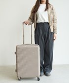 【エースバッグズアンドラゲッジ/ACE BAGS & LUGGAGE】の【雑誌掲載】 HaNT×Jewelna Rose コラボ スーツケース Mサイズ 06822 ハント ジュエルナローズ グレージュ|ID: prp329100004853698 ipo3291000000036209692