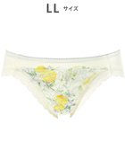 【ワコール/WACOAL】のショーツ 【重力ケアブラ】 BXB194とペア はきこみ丈あさめ ナイロンベア天竺素材(バック) レディース PXB194 /ワコール イエロー|ID: prp329100004855290 ipo3291000000035773551