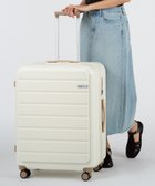【エースバッグズアンドラゲッジ/ACE BAGS & LUGGAGE】のACE フレットボード スーツケース L 100L 05434 エース アイボリー|ID: prp329100004855499 ipo3291000000035787787