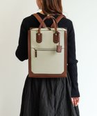 【エースバッグズアンドラゲッジ/ACE BAGS & LUGGAGE】のJewelna Rose アリゼ リュック A4/13.3インチPC収納 16302 ジュエルナローズ コンビ|ID: prp329100004855625 ipo3291000000035793274