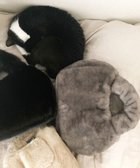 【ルートート/ROOTOTE】の1325【まるで猫】SN.デリ.ファーブランケット-A 02:グレー|ID: prp329100004857319 ipo3291000000035848143