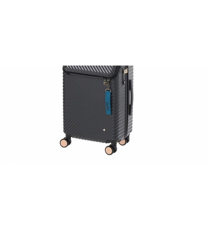 【エースバッグズアンドラゲッジ/ACE BAGS & LUGGAGE】のHaNT ヘイヘイTR スーツケース 40L 機内持込 05180 ハント インテリア・キッズ・メンズ・レディースファッション・服の通販 founy(ファニー) https://founy.com/ ファッション Fashion レディースファッション Fashion for Women スーツ Business Suits & Workwear イラスト Illustration インナー Innerwear シンプル Simple, Minimal トラベル Travel, Travel Gear バスケット Basket, Basket Bag フィット Fit, Slim Fit ポケット Pocket, Pocket Detail メッシュ Mesh, Net Fabric ラップ Wrap, Wrap Design リュック Backpack, Rucksack 再入荷 Restock / Back in Stock 旅行 Travel スーツケース キャリーケース Suitcase / Carry Case |ID: prp329100004857532 ipo3291000000035857691