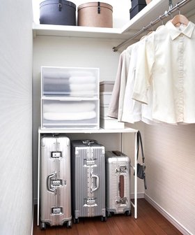 【タワー/tower】の伸縮キャリーケース上ラック タワー ホワイト 人気、トレンドファッション・服の通販 founy(ファニー) ファッション Fashion レディースファッション Fashion for Women おすすめ Recommended / Our Picks スーツケース キャリーケース Suitcase / Carry Case トラベル Travel, Travel Gear フィット Fit, Slim Fit |ID:prp329100004858970