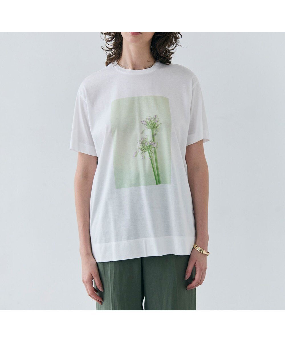 【ベイジ,/BEIGE,】の【洗える・クロワッサン 掲載】PENTAS / オリジナルフォトプリントTシャツ インテリア・キッズ・メンズ・レディースファッション・服の通販 founy(ファニー) 　ファッション　Fashion　レディースファッション　Fashion for Women　トップス・カットソー　Cut & Sew Tops　シャツ・ブラウス・オフィスカジュアル　Elegant Blouses & Button-Ups　ロングTシャツ・Tシャツ　Longline T-Shirts & Tees　カットソー・ベーシックTシャツ　Cut-and-Sewn Tops / Stretch Tees & Basics　インナー　Innerwear　春　Spring　洗える　Machine Washable　カットソー　Cut and Sewn Top　カーゴパンツ　Cargo Pants, Utility Pants　今季　This Season, Current Season　ジャケット　Jacket, Outerwear　スタイリッシュ　Stylish, Fashionable　雑誌　Magazine, Fashion Magazine　デニム　Denim, Jeans Material　フロント　Front, Front Design　プリント　Print, Printed Pattern　ベーシック　Basic, Essential　半袖　Short Sleeve, Half Sleeve　S/S・春夏　SS, Spring/Summer, Warm Season　夏　Summer　Agapanthus|ID: prp329100004859077 ipo3291000000035930140