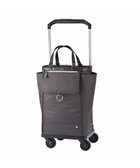 【エースバッグズアンドラゲッジ/ACE BAGS & LUGGAGE】のsoelte オートュイユ お買い物キャリー 21L 35981 ソエルテ ソフトスーツケース チャコールグレー|ID: prp329100004859648 ipo3291000000035959770