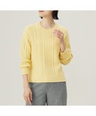 【ジェイ プレス/J.PRESS】の【WEB限定カラーあり・洗える】EIGER CORD ALAN クルーネックプルオーバー ニット イエロー系|ID: prp329100004860220 ipo3291000000035989786