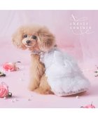 【ペットパラダイス/PET PARADISE / GOODS】のcherircouture メニーローズ ワンピース ホワイト 小型犬 人気、トレンドファッション・服の通販 founy(ファニー) 2026年 2026 イレギュラー Irregular Design フロント Front, Front Design ローズ Rose, Rose Motif 夏 Summer 春 Spring S/S・春夏 SS, Spring/Summer, Warm Season 犬 Dog ホーム・キャンプ・アウトドア・お取り寄せ Home Living / Home & Lifestyle / Camping Gear / Outdoor Camping ペットグッズ Pet Supplies thumbnail ホワイト|ID: prp329100004861362 ipo3291000000036029296