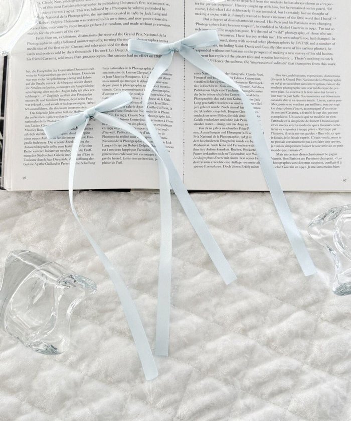 【ウィゴー/WEGO】のL2Pロングナローリボンクリップ インテリア・キッズ・メンズ・レディースファッション・服の通販 founy(ファニー) https://founy.com/ ファッション Fashion レディースファッション Fashion for Women シュシュ&ヘアアクセ/ヘアアレンジ Scrunchies & Hair Accessories おすすめ Recommended / Our Picks アクセサリー Fashion Accessories ガーリー Girly, Feminine Style スマホ Smartphone, Mobile Device ハーフ Half, Half-Length リボン Ribbon, Bow ロング Long, Long-Length |ID: prp329100004862067 ipo3291000000036082526