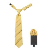 【ミキハウスホットビスケッツ/MIKI HOUSE HOT BISCUITS / KIDS】の【ミキハウス】 ドット柄ネクタイ(ポケットチーフ付) 人気、トレンドファッション・服の通販 founy(ファニー) ファッション Fashion キッズファッション Fashion for Kids ストライプ Stripe, Striped Pattern スーツ Suit, Formalwear セレモニー Ceremony ドット Polka Dot, Dot Pattern パーティ Party, Party Style フォーマル Formal, Dressy ポケット Pocket, Pocket Detail 入学式 Entrance Ceremony 水玉 Polka Dot, Dot Pattern 結婚式 Wedding thumbnail カラシ|ID: prp329100004862457 ipo3291000000036111570