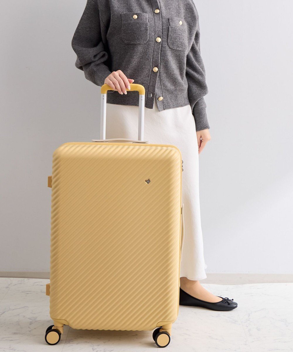 【エースバッグズアンドラゲッジ/ACE BAGS & LUGGAGE】のHaNT ココント スーツケース 58L 05514 ハント インテリア・キッズ・メンズ・レディースファッション・服の通販 founy(ファニー) 　ファッション　Fashion　レディースファッション　Fashion for Women　スーツ　Business Suits & Workwear　シルバー　Silver, Metallic Silver　スタンダード　Standard, Basic　プリント　Print, Printed Pattern　ポケット　Pocket, Pocket Detail　メタル　Metal, Metal Parts　メッシュ　Mesh, Net Fabric　リュック　Backpack, Rucksack　再入荷　Restock / Back in Stock　おすすめ　Recommended / Our Picks　旅行　Travel　スーツケース キャリーケース　Suitcase / Carry Case　キャンドル・イエロー|ID: prp329100004862484 ipo3291000000036112056