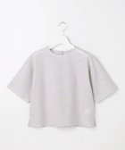 【エニィ スィス/any SiS】のレースクロップド プルオーバー 人気、トレンドファッション・服の通販 founy(ファニー) ファッション Fashion レディースファッション Fashion for Women トップス・カットソー Cut & Sew Tops シャツ・ブラウス・オフィスカジュアル Elegant Blouses & Button-Ups カジュアルプルオーバー・ニットトップス Pullovers & Knit Tops / Casual Pullovers おすすめ Recommended / Our Picks サテン Satin, Glossy Fabric シフォン Chiffon, Lightweight Fabric スリット Slit, Slit Detail ボンディング Bonding, Bonded Fabric レース Lace, Lace Fabric エレガント 上品 Elegant 夏 Summer 新作・新入荷 New Arrivals / New In 春 Spring S/S・春夏 SS, Spring/Summer, Warm Season thumbnail アイスグレー|ID: prp329100004862778 ipo3291000000036118636