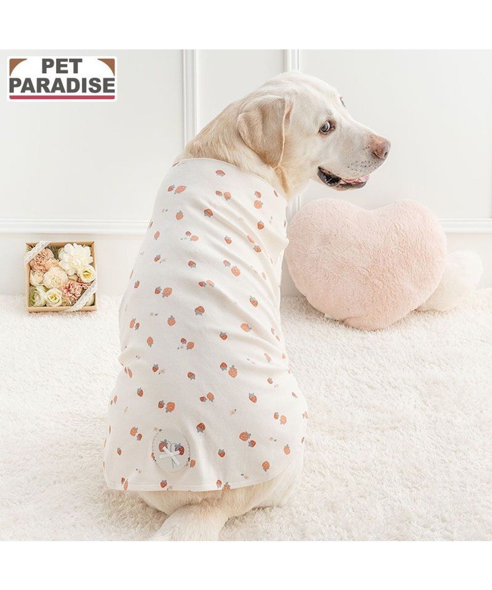 【ペットパラダイス/PET PARADISE / GOODS】のペットパラダイス はじめてのタンクトップ 《花苺柄》 中型犬 大型犬 インテリア・キッズ・メンズ・レディースファッション・服の通販 founy(ファニー) 　イレギュラー　Irregular Design　タンク　Tank Top, Sleeveless Top　春　Spring　犬　Dog　ホーム・キャンプ・アウトドア・お取り寄せ　Home Living / Home & Lifestyle / Camping Gear / Outdoor Camping　ペットグッズ　Pet Supplies　ホワイト×レッド|ID: prp329100004864208 ipo3291000000036199305