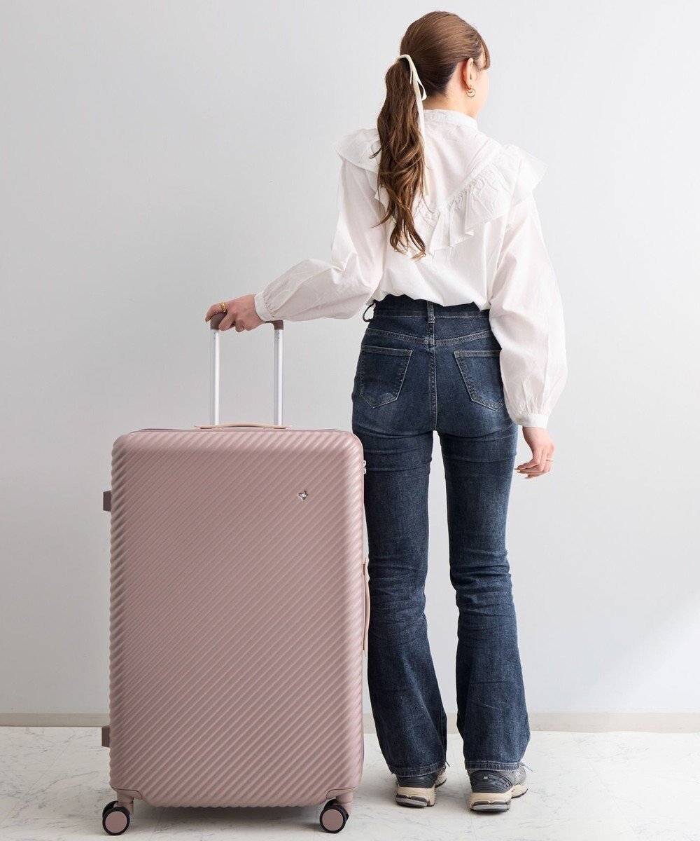 【エースバッグズアンドラゲッジ/ACE BAGS & LUGGAGE】のHaNT ココント スーツケース 97L 05516 ハント インテリア・キッズ・メンズ・レディースファッション・服の通販 founy(ファニー) 　ファッション　Fashion　レディースファッション　Fashion for Women　スーツ　Business Suits & Workwear　シルバー　Silver, Metallic Silver　スタンダード　Standard, Basic　プリント　Print, Printed Pattern　ポケット　Pocket, Pocket Detail　メタル　Metal, Metal Parts　メッシュ　Mesh, Net Fabric　リュック　Backpack, Rucksack　再入荷　Restock / Back in Stock　おすすめ　Recommended / Our Picks　旅行　Travel　スーツケース キャリーケース　Suitcase / Carry Case　ソイル・ピンク|ID: prp329100004866124 ipo3291000000036223312